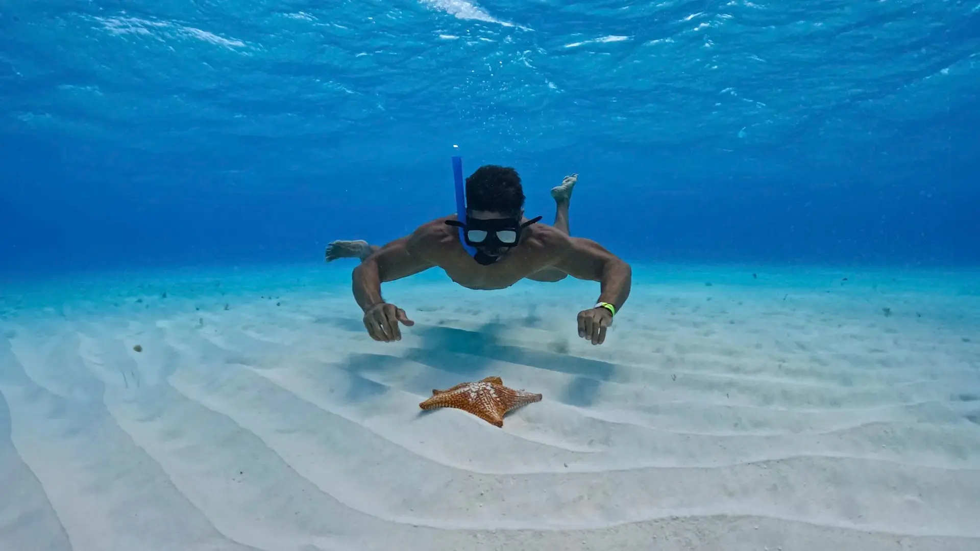 Tour al Cielo Cozumel