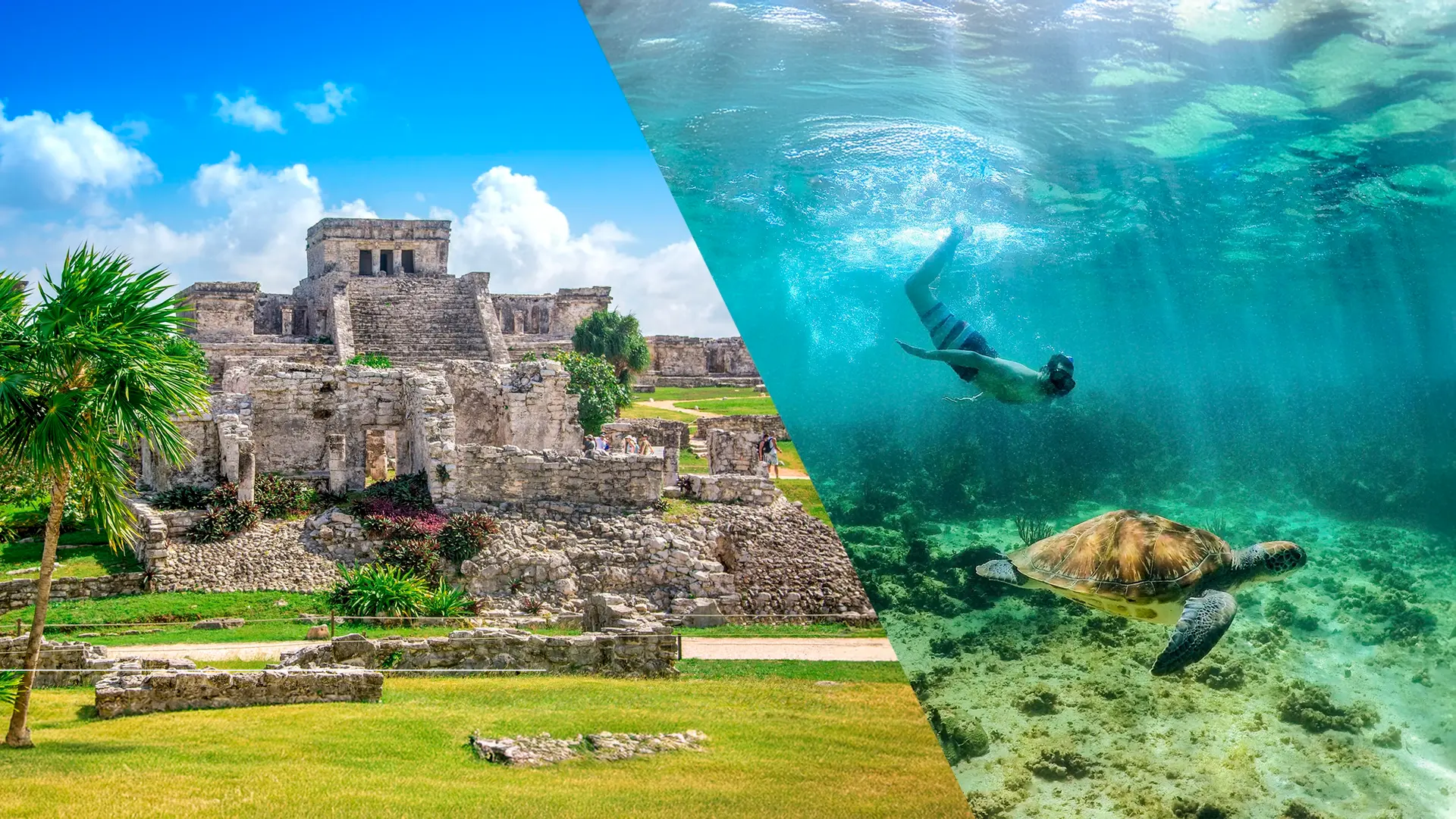 Tulum, Turtles & Cenote